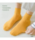 Unisex Low-Cut Socks | Breathable Ribbed Xinjiang Cotton | One Size 35–42 EU