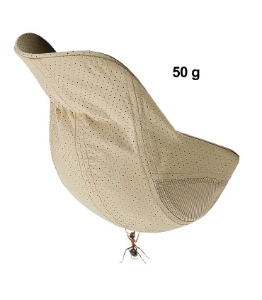 MÜTZE BOINA - URBAN QUICK DRY | Schnelltrocknend Herren & Damen | Gehärtetes Visier | Perforiert, Belüftet, Ultraleicht