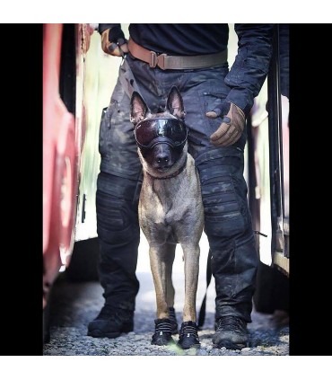 PIONEER PANTS - Q11 | Pantalon Multifonction, Imperméable et Très Résistant